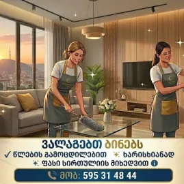ბინების პროფესიონალური დალაგება წლების გამოცდილებით 