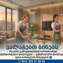 ბინების პროფესიონალური დალაგება წლების გამოცდილებით 