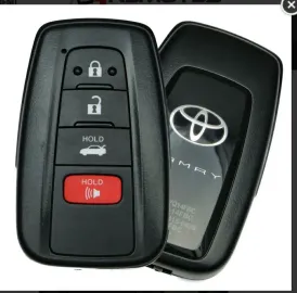 გასაღები პროგრამირებით