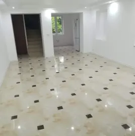 სრული რემონტი