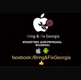 Bring & Fix Georgia