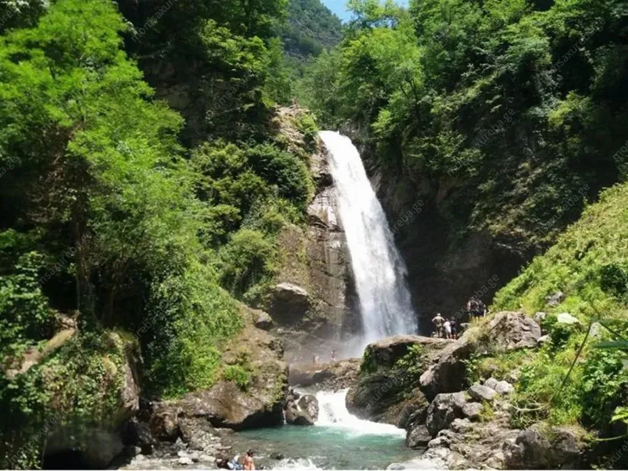ტურები ლაგოდეხის ნაკრძალში