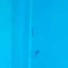 ლესვა