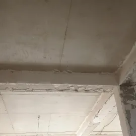 ლესვა