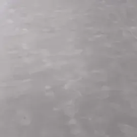 ვინილის დაგება