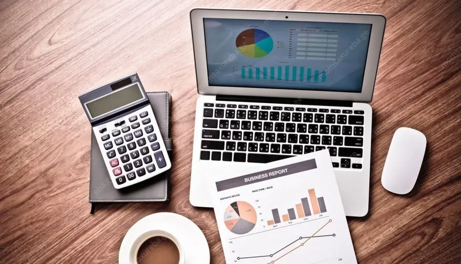 ბუღალტრული მომსახურება/accounting service