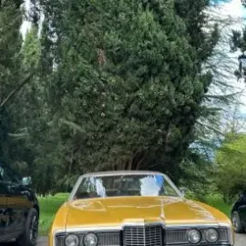 ქირავდება