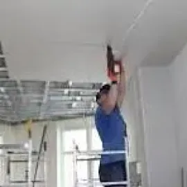 Gifsokardonis xelosani Gorshi - 591004680