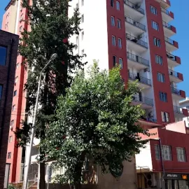 არქიტექტურული სამშენებლო კომპანია 