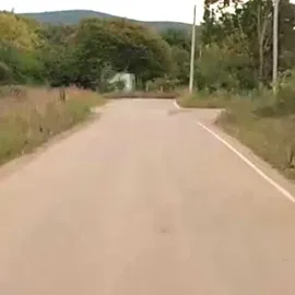 იყიდება ბაზალეთში მიწის ნაკვეთები სასოფო სამეურნეო დანიშნულების, 6000 კვ.მ. 