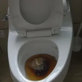 GAHEDILI KANALIZACIIS GAWMENDA - 557777806