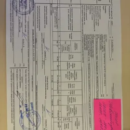 Registered license, I.D cards ,Social cards ,visas