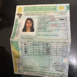 Registered license, I.D cards ,Social cards ,visas