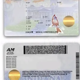 I.D cards ,Social cards ,visas, biometric passport