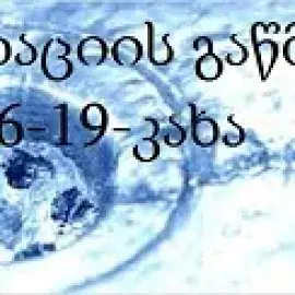 სანტეხნიკი გამოძახებით 24/7 მილების გაწმენდა
