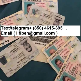 Registered license, I.D cards ,Social cards ,visas