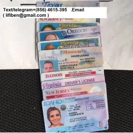 Registered license, I.D cards ,Social cards ,visas