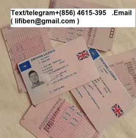 Registered license, I.D cards ,Social cards ,visas