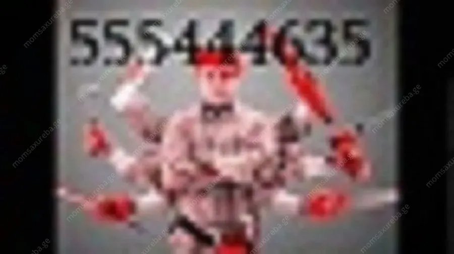 SANTEQNIKIS GAMODZAXEBA TBILISSHI - 555444635