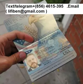 Work permit visas, biometric passport