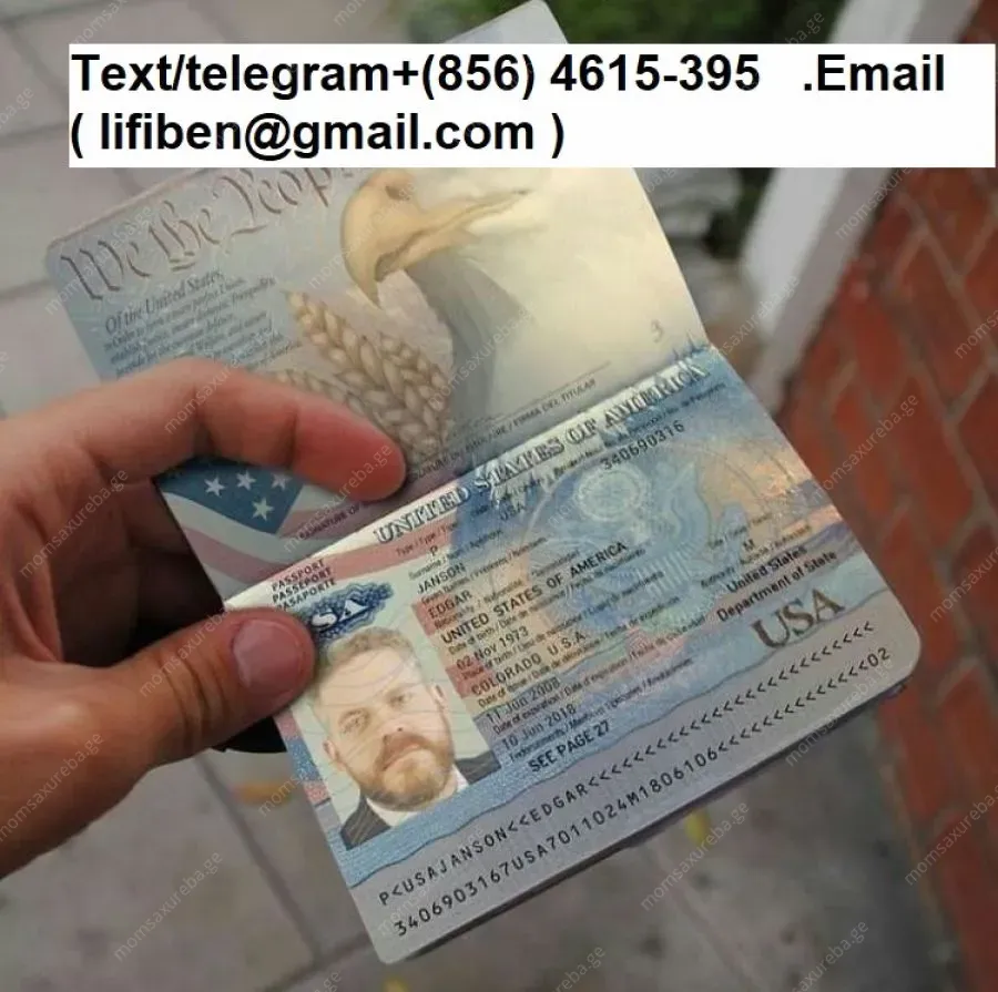 Work permit visas, biometric passport