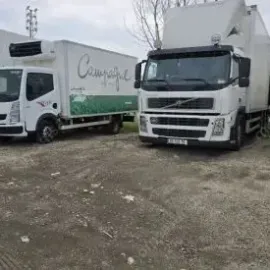 ტვირთის გადატანა