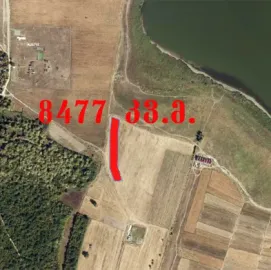 იყიდება ბაზალეთში მიწის ნაკვეთი 8477 კვ.მ. სასოფლო სამეურნეო დანიშნულების 