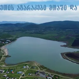 იყიდება ბაზალეთში მიწის ნაკვეთი 8477 კვ.მ. სასოფლო სამეურნეო დანიშნულების 