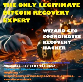 BEST CRYPTO / BITCOIN / USDT / RECOVERY SERVICE PROVIDERS.. WIZARD GEO COORDINATES RECOVERY HACKER