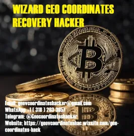 BEST CRYPTO / BITCOIN / USDT / RECOVERY SERVICE PROVIDERS.. WIZARD GEO COORDINATES RECOVERY HACKER