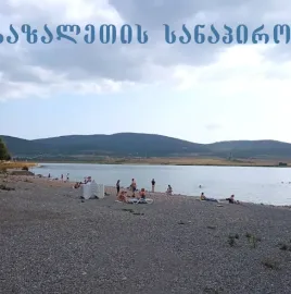 იყიდებს ბაზალეთში მიწის ნაკვეთი 76 391 კვ.მ. სასოფლო სამეურნეო დანიშნულების,  