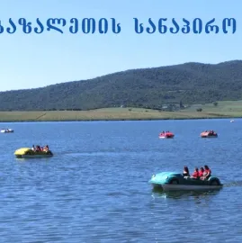 იყიდებს ბაზალეთში მიწის ნაკვეთი 76 391 კვ.მ. სასოფლო სამეურნეო დანიშნულების,  