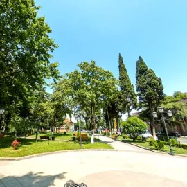 ქირავდება საოფისე კომერციული ფართი, სოლოლაკში ათონელის ქუჩაზე, 