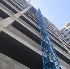 ამწე პიონერი