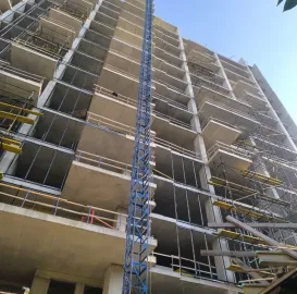 ამწე პიონერი