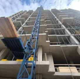 ამწე პიონერი