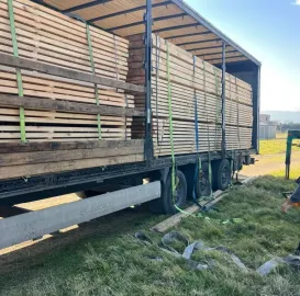 მაღალი ხარისხის ხის მასალა