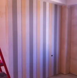 პროფესიონალი ხელოსანი