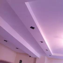 პროფესიონალი ხელოსანი