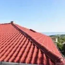 ჟოლოპების გაწმენდა/მონტაჟი