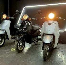 ქირავდება მოპედი / Honda today