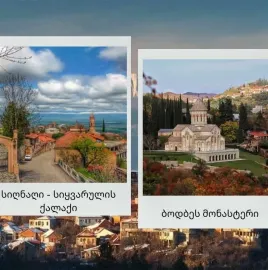 გორის ტურისტული კომპანია Gori Travel Company