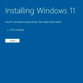 ✅კომპიუტერული მომსახურება✅Windows-ის ინსტალაცია✅შიდა ქსელების გამართვა