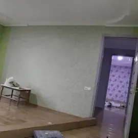 თაბაშირმუყაოს ხელოსანი