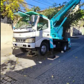 ამწე კალათით მომსახურება