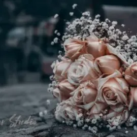 პროფესიონალური ფოტო და ვიდეო გადაღება