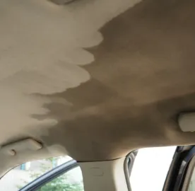 ქიმწმენდა დეზიმფექცია