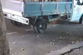 samsheneblo narchenebis gatana rustavshi-591004680
