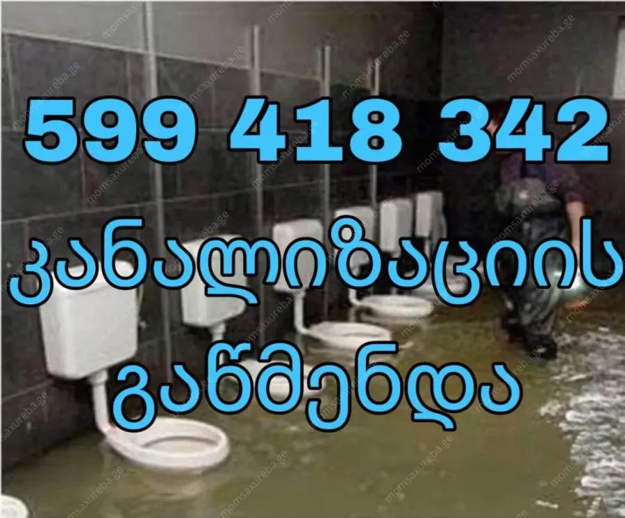 SAMZAREULOS MILIS GAWMENDA FASI 100 LARI