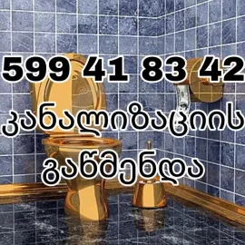 SANTEQNIKI GAMODZAXEBIT MXOLOD MILEBIS GAWMENDA